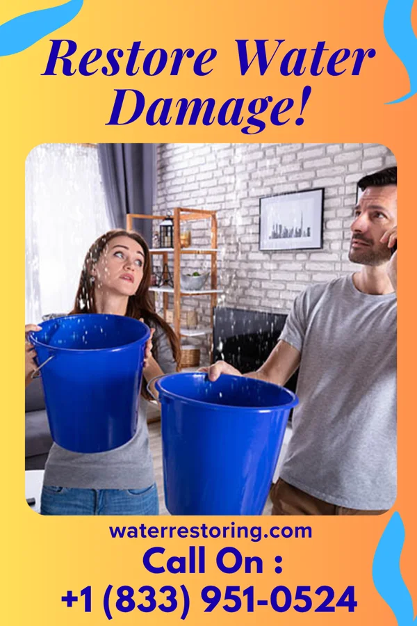 water restoration Platinum Water Mitigation & Associates Buffalo