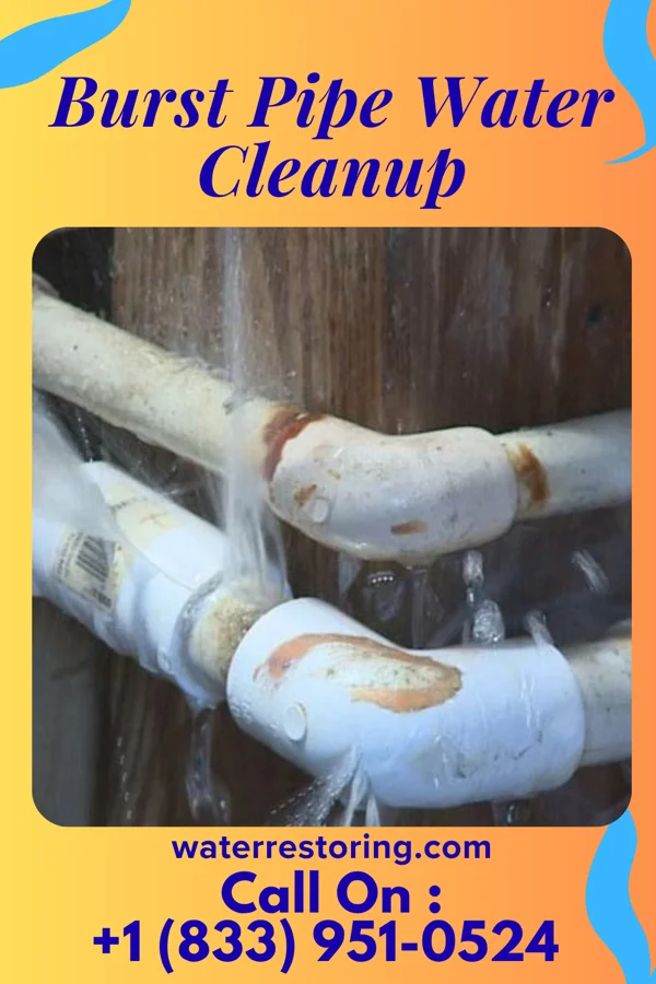 Burst Pipe Water Cleanup in Buffalo, NY