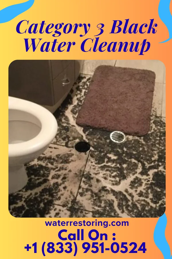 Category 3 Black Water Cleanup in Buffalo, NY