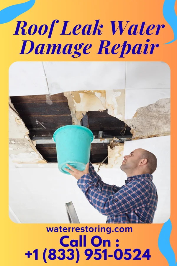Roof Leak Water Damage Repair in Buffalo, NY