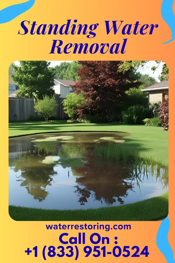 Standing Water Removal in Buffalo, NY